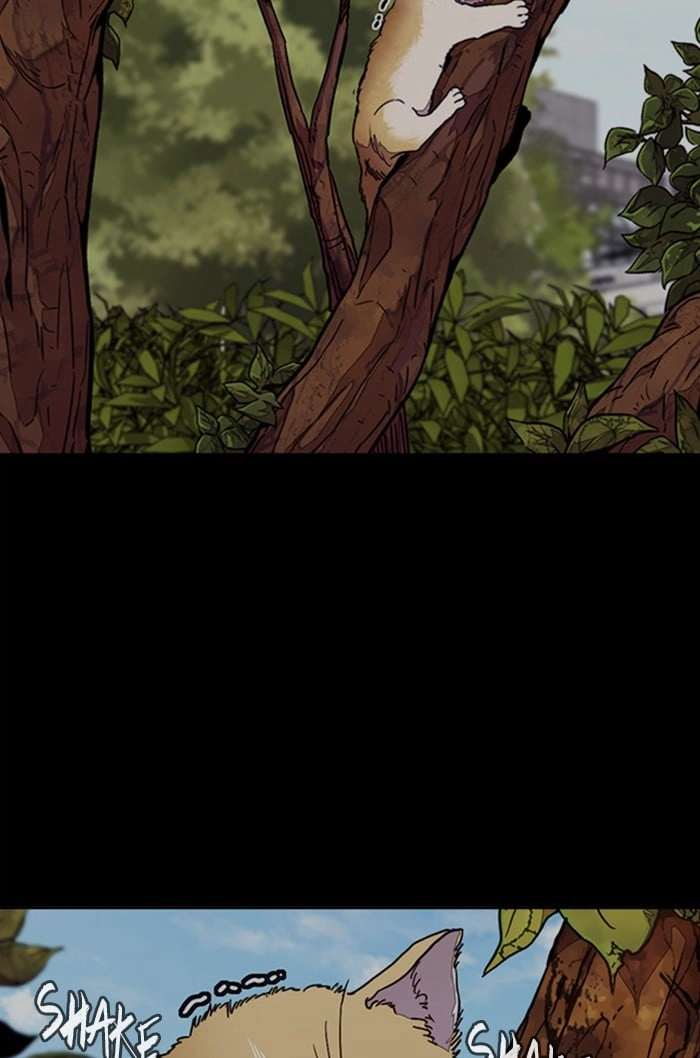 Wind Breaker Chapter 318 - Page 35