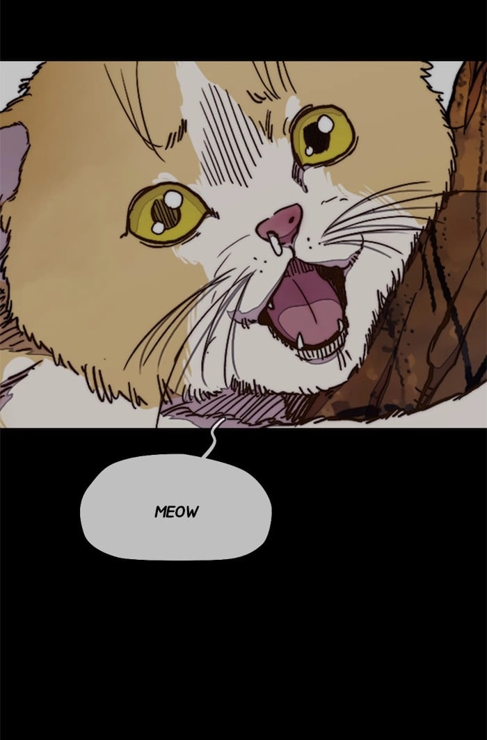 Wind Breaker Chapter 318 - Page 64