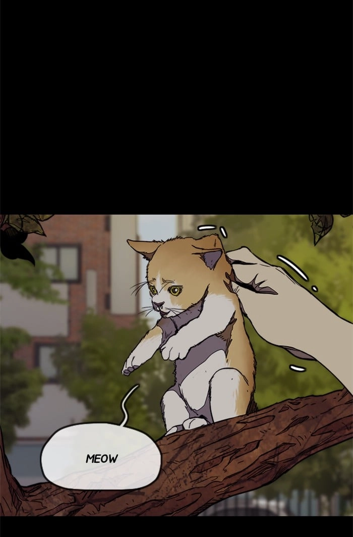 Wind Breaker Chapter 318 - Page 66