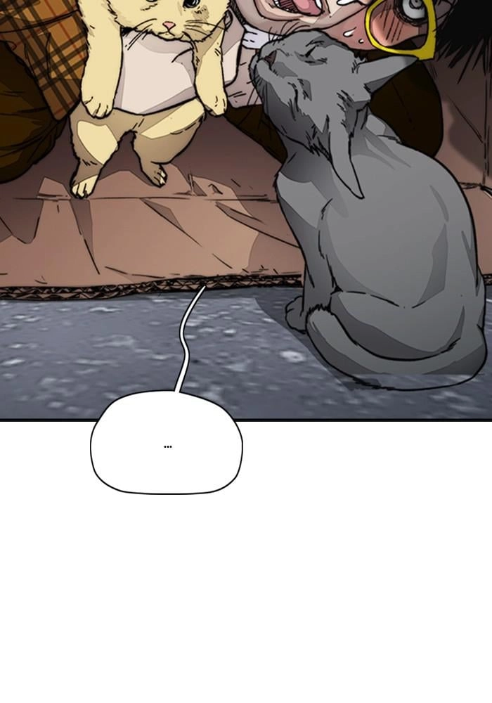 Wind Breaker Chapter 383 - Page 15