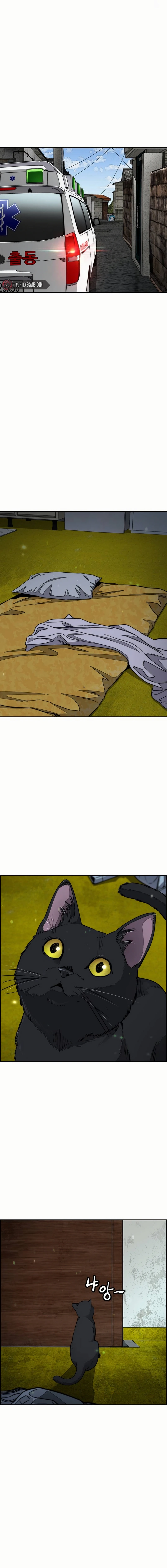 Wind Breaker Chapter 547 - Page 22
