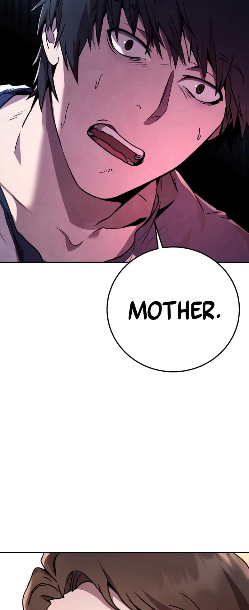 Zig the Blacksmith Chapter 1 - Page 29